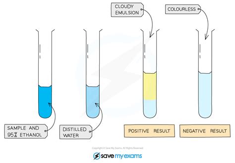 ethanol test for lipids|Testing for Lipids .